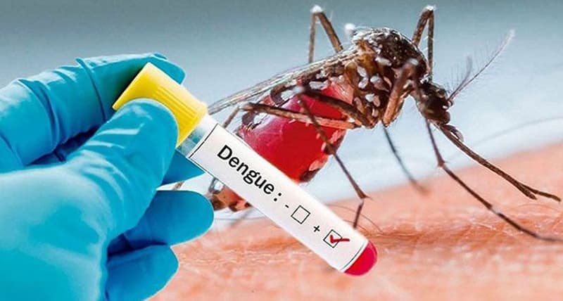 ২৪ ঘণ্টায় ডেঙ্গুতে চারজনের মৃত্যু