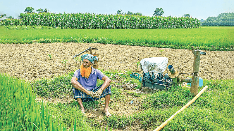 ডিজেলের দাম বাড়ায় বোরো চাষ নিয়ে দুশ্চিন্তায় কৃষক