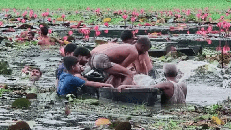 বিলে শাপলা তুলতে গিয়ে নৌকা ডুবে দুই বন্ধুর মৃত্যু