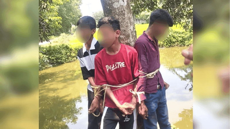 পাবনায় কলা চুরির অভিযোগে তিন কিশোরকে গাছে বেঁধে নির্যাতন
