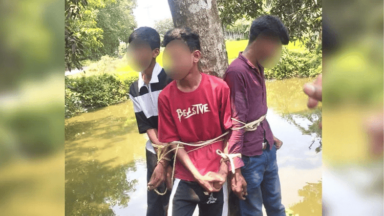 পাবনায় কলা চুরির অভিযোগে তিন কিশোরকে গাছে বেঁধে নির্যাতন