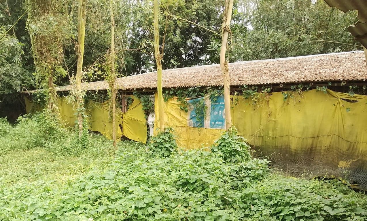 বগুড়ায় স্কুল শিক্ষার্থীদের ডেকে নেওয়া হয় ফেস ভেরিফিকেশন, পাচার করা হচ্ছে কী তথ্য?