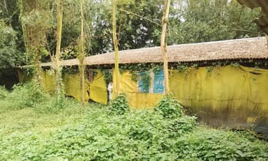 বগুড়ায় স্কুল শিক্ষার্থীদের ডেকে নেওয়া হয় ফেস ভেরিফিকেশন, পাচার করা হচ্ছে কী তথ্য?