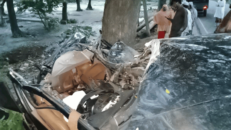 যশোরে গাছের সঙ্গে প্রাইভেটকারের ধাক্কায় নিহত ২ জন