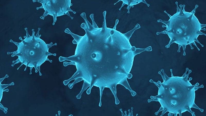 ২৪ ঘণ্টায় দেশে ২৮ জন করোনা আক্রান্ত