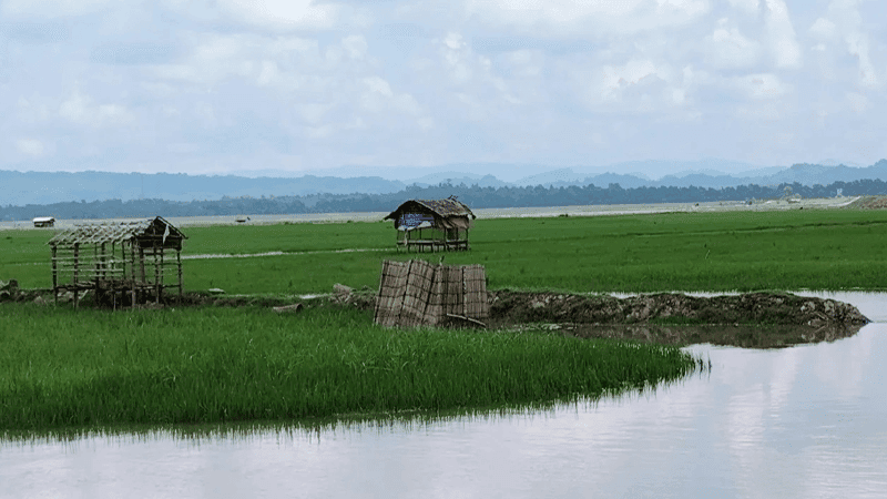 উখিয়া সীমান্তে মাইন বিস্ফোরণ, রোহিঙ্গা যুবকের পা বিচ্ছিন্ন