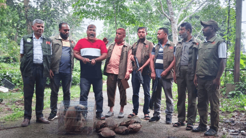 চকরিয়ায় পাচারকালে মুখপোড়া হনুমান ও ১২টি কচ্ছপসহ আটক ১