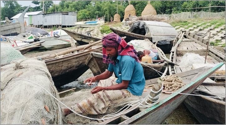 পদ্মা-মেঘনায় ইলিশ শিকারে নিষেধাজ্ঞা শেষ হচ্ছে মধ্যরাতে