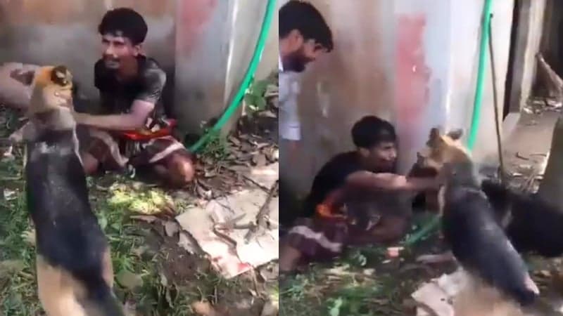 কুমিল্লায় চোর সন্দেহে যুবকের ওপর কুকুর লেলিয়ে দেওয়ার ঘটনায় আটক ৩ 