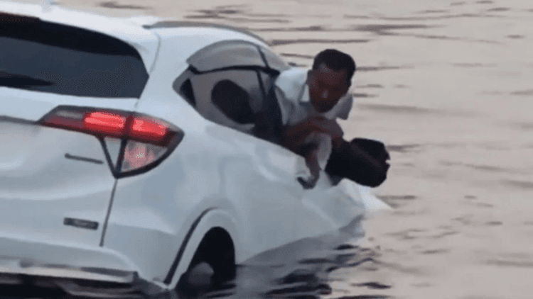 ফেরি থেকে নদীতে পড়ে গেল প্রাইভেটকার, চালক জীবিত উদ্ধার