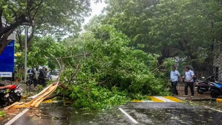 ১৫০ কিলোমিটার বেগে অন্ধ্রপ্রদেশে আঘাত হেনেছে ঘূর্ণিঝড় ‘অর্ণব’