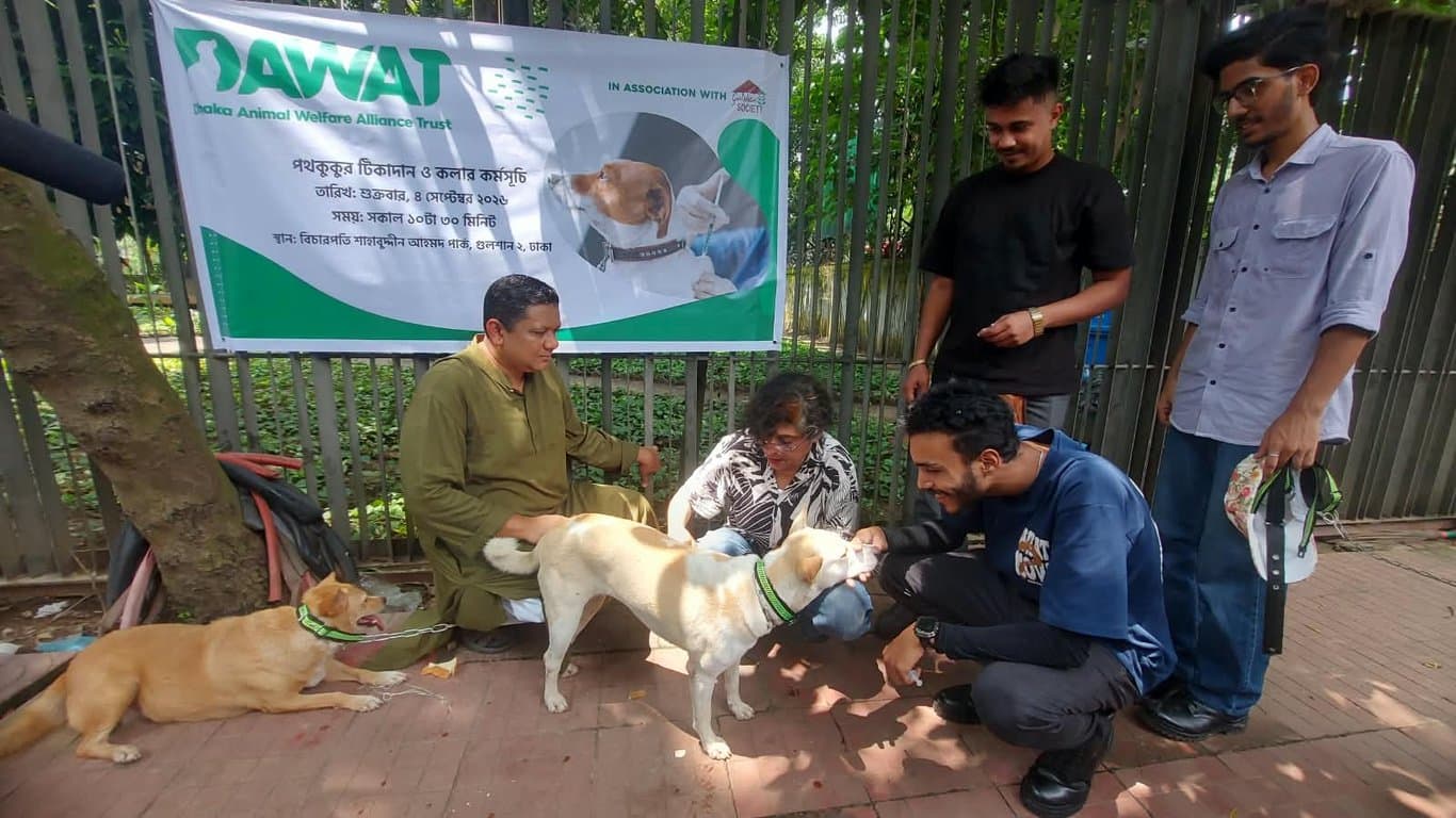 রাজধানীর সব পথকুকুরকে টিকাদান শুরু করেছে গুলশান সোসাইটি এবং দাওয়াত