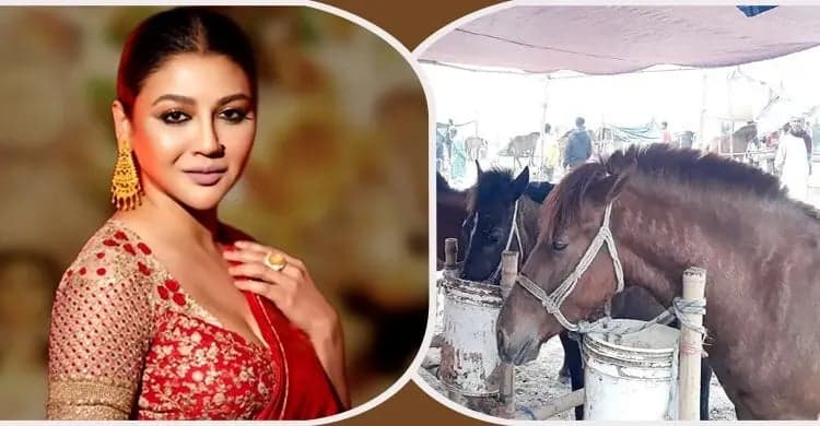 জয়া আহসানের রিটে ঘোড়ার মাংস খাওয়া নিয়ে রুল জারি হাইকোর্টের
