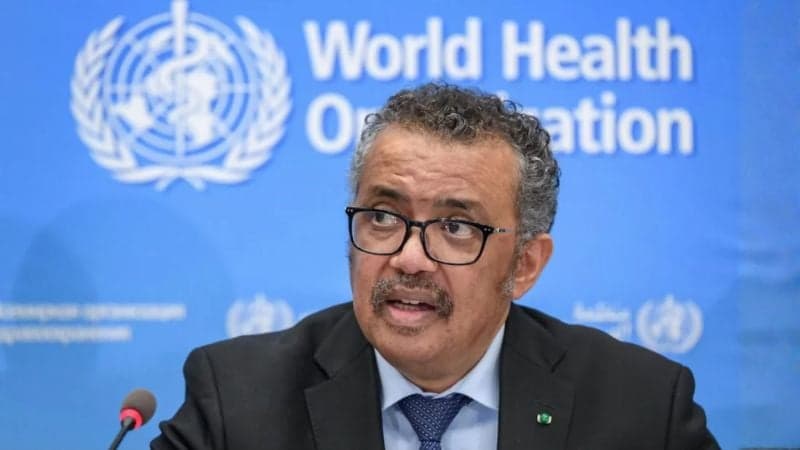 নবজাতকদের জন্য ম্যালেরিয়া চিকিৎসার অনুমোদন বিশ্ব স্বাস্থ্য সংস্থার