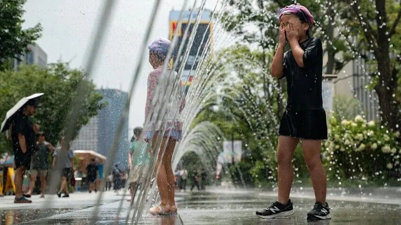দক্ষিণ কোরিয়ায় দাবদাহে ১৬ জনের মৃত্যু