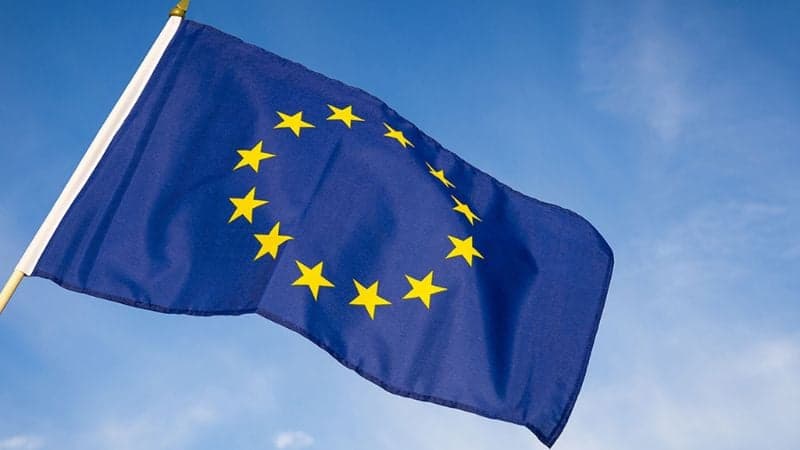 সংসদ নির্বাচন পর্যবেক্ষণে বাংলাদেশে ইইউ মিশন