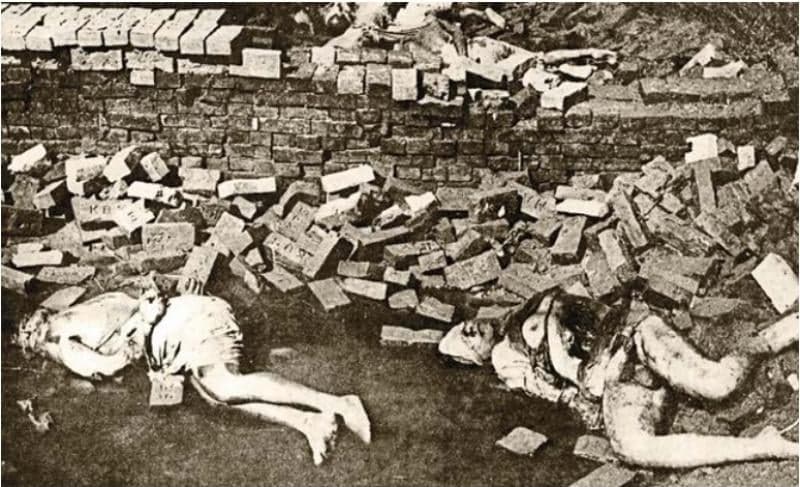 ইটখোলার অগভীর গর্তে ক্ষতবিক্ষত সেলিনা পারভীন