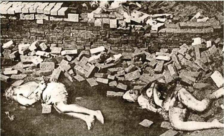 ইটখোলার অগভীর গর্তে ক্ষতবিক্ষত সেলিনা পারভীন