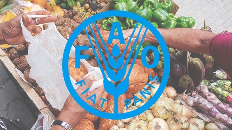 যুদ্ধের উত্তেজনায় বাড়ছে বৈশ্বিক খাদ্য পণ্যের দাম: জাতিসংঘ