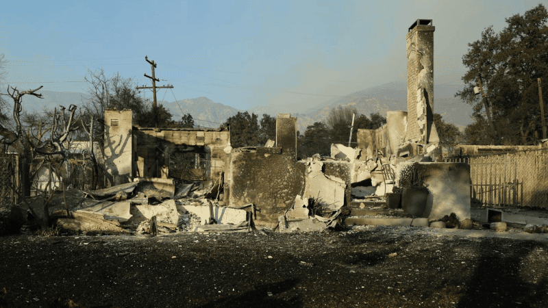 লস অ্যাঞ্জেলেসে দাবানল: ১২ হাজার ভবন ধ্বংস, প্রাণহানি ১১, বাস্তুচ্যুত হাজারো মানুষ