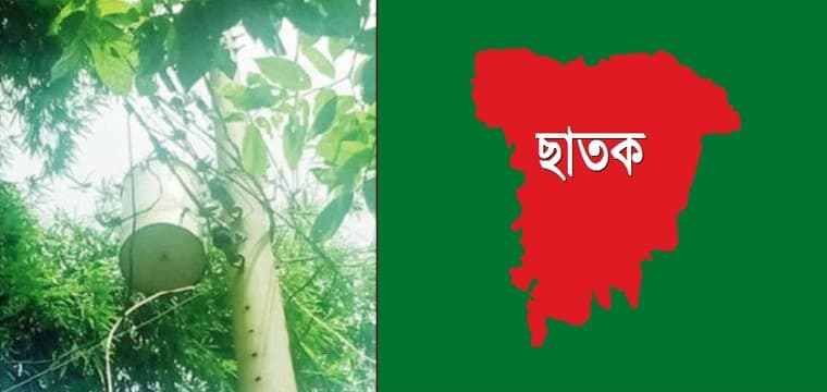 ‘শতভাগ বিদ্যুতায়িত’ ছাতকে বিদ্যুৎহীন ১৫০ পরিবার!