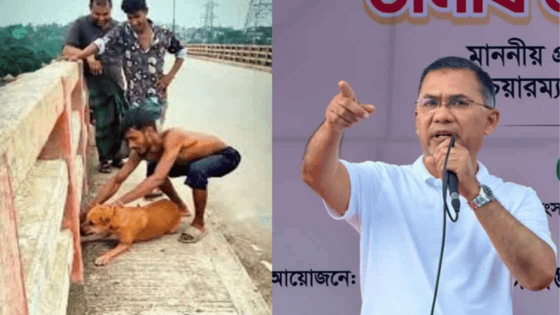কুকুর নির্যাতনের ভাইরাল ভিডিও প্রধানমন্ত্রীর নজরে, জড়িতদের বিরুদ্ধে ব্যবস্থা নেওয়ার নির্দেশ