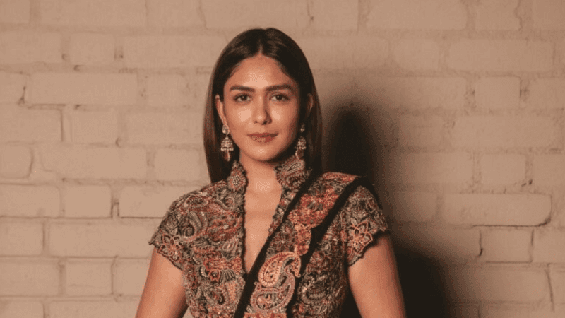 ডিপফেকের শিকার, আইনি ব্যবস্থার হুঁশিয়ারি ম্রুনাল ঠাকুর