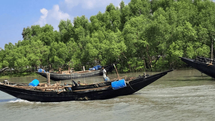 ২৪ ঘণ্টায় সুন্দরবনে ১৮ জেলে অপহরণ, আতঙ্কে মৎস্যজীবীরা