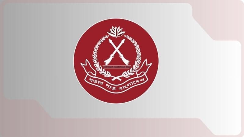 নভেম্বরে ১৬৮ কোটি টাকার চোরাচালান পণ্য জব্দ করেছে বিজিবি