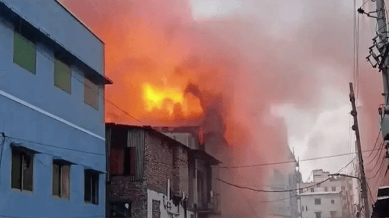 মিরপুরে অগ্নিকাণ্ডের ঘটনায় তদন্ত কমিটি গঠন