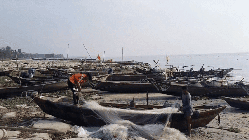 মধ্যরাত থেকে ইলিশ ধরা শুরু