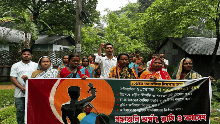 'মুলুক চলো'র ১০৫ বছর: চা শ্রমিক দিবসের রাষ্ট্রীয় স্বীকৃতির দাবি