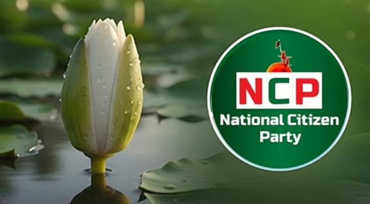 গণভোটে ‘হ্যাঁ’ ভোটের পক্ষে ২৭০ আসনে এনসিপির অ্যাম্বাসেডর নিয়োগ