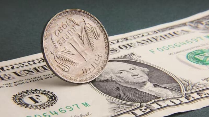 ইতিহাসের সর্বনিন্মে নেমেছে ভারতীয় রুপির দাম