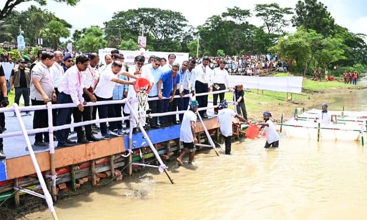 ব্রহ্মপুত্র নদে মাছের পোনা অবমুক্ত করলেন প্রধানমন্ত্রী তারেক রহমান