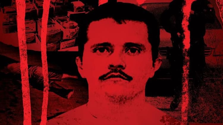 সামরিক অভিযানে কুখ্যাত মাদক সম্রাট নিহত, মেক্সিকো জুড়ে তাণ্ডব