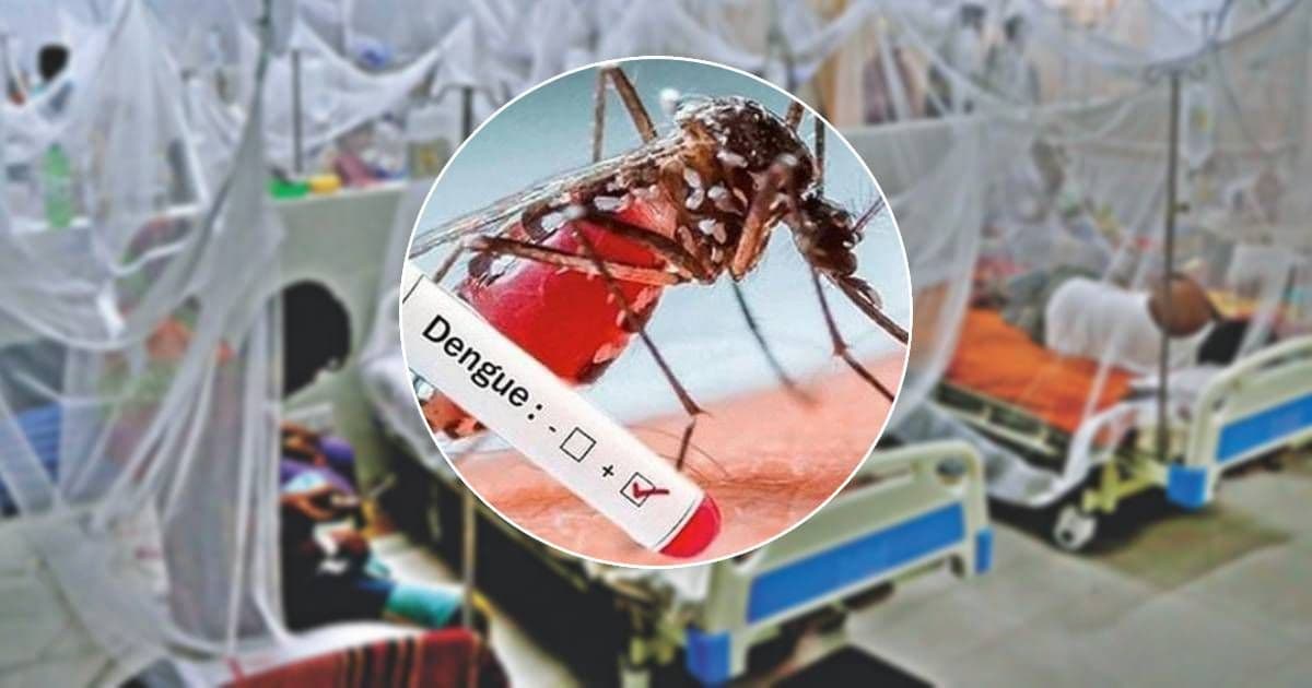 ডেঙ্গুতে আরও একজনের মৃত্যু, হাসপাতালে ভর্তি ৪০৬