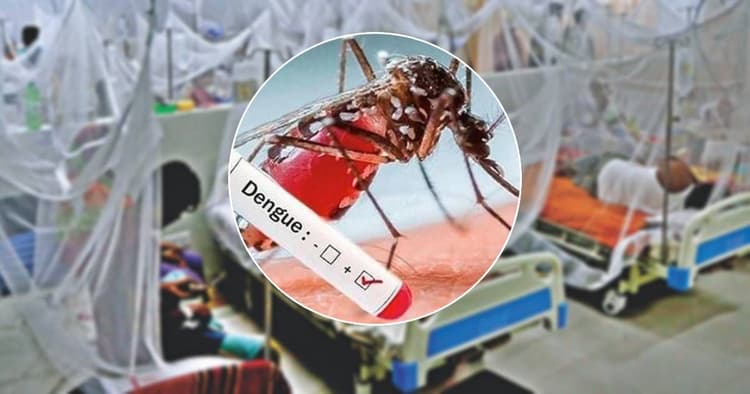খুলনায় ডেঙ্গুতে আরও একজনের মৃত্যু, ২৪ ঘণ্টায় হাসপাতালে ভর্তি ৪৩