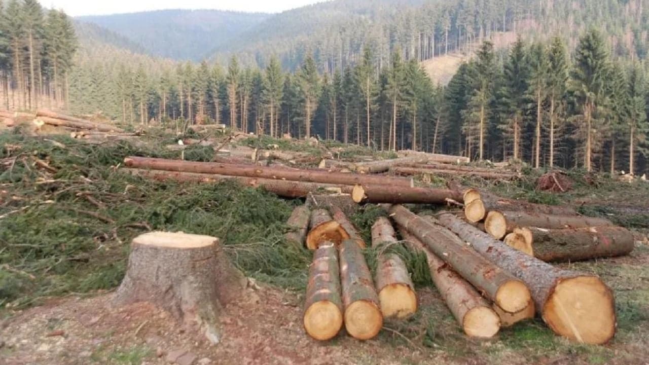 জড়িতদের বিরুদ্ধে ব্যবস্থা নিন