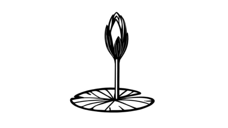 ইসির ওয়েবসাইটে যুক্ত হলো এনসিপির ‘শাপলা কলি’ প্রতীক