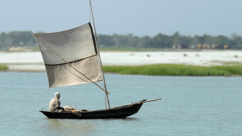 আগামী পাঁচ দিন বাড়তে পারে পদ্মার পানি