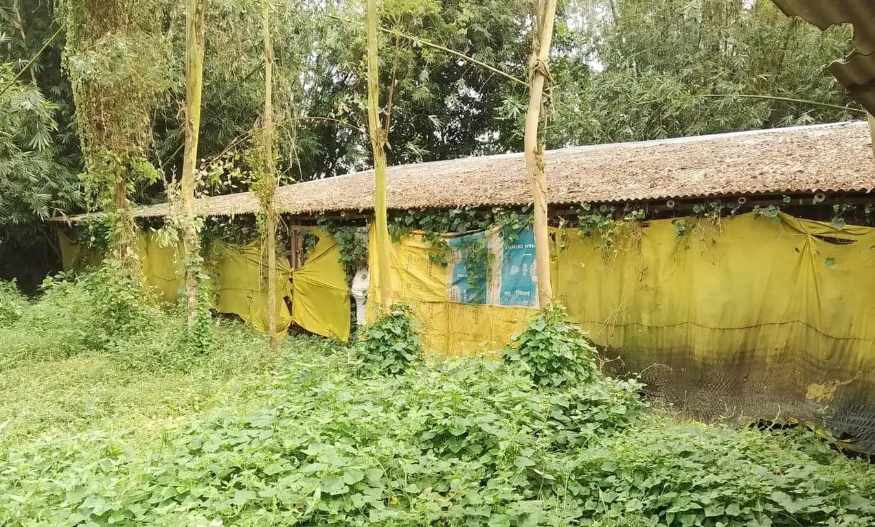 ব্যক্তিগত তথ্য পাচার হচ্ছে কী? বগুড়ায় শুধু ফেস ভেরিফিকেশনই নয়, নেয়া হয় পাসপোর্টের ছবিও