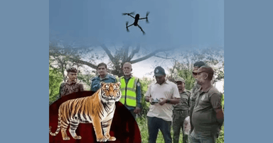 শরণখোলায় লোকালয়ে বাঘ: ড্রোন উড়িয়ে সন্ধান, আতঙ্কে পাঁচ গ্রামের মানুষ