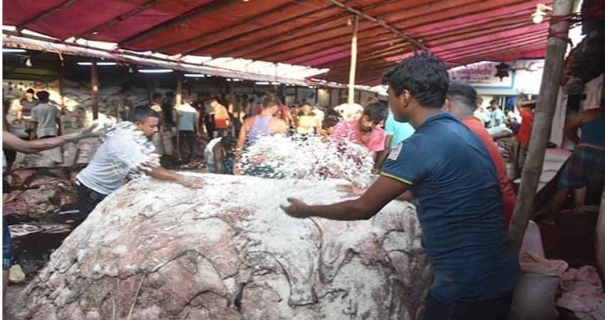 এবারও চামড়া নিয়ে হতাশা