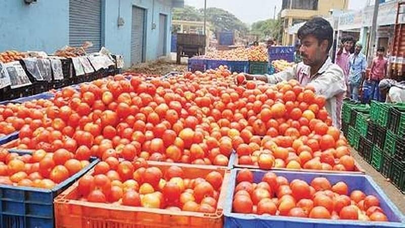 ফের এক বছর পর কর্ণাটক থেকে বাংলাদেশে টমেটো রপ্তানি শুরু