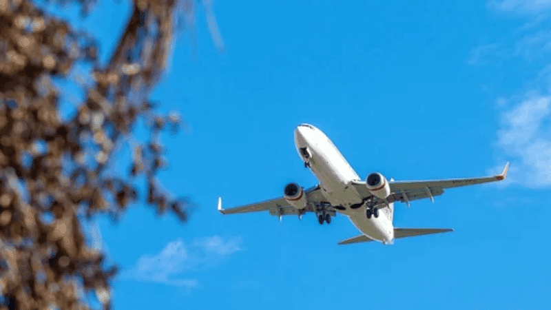 অর্ধশত আরোহী নিয়ে রাশিয়ার বিমান নিখোঁজ