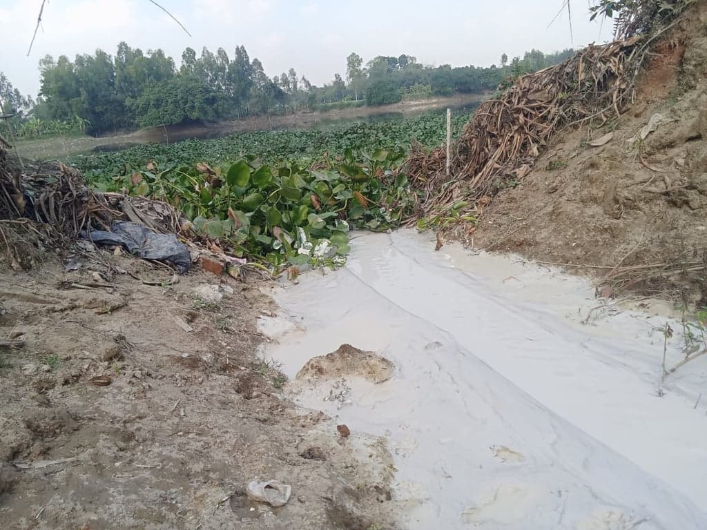 বগুড়ায় টিএমএসএসের 'দখল-দূষণে' হুমকিতে করতোয়ার অস্তিত্ব