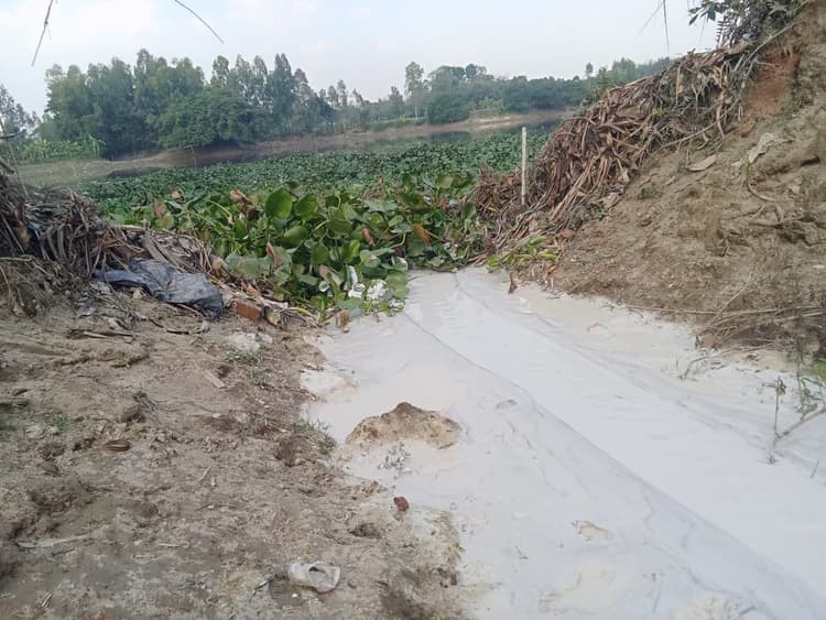 বগুড়ায় টিএমএসএসের 'দখল-দূষণে' হুমকিতে করতোয়ার অস্তিত্ব
