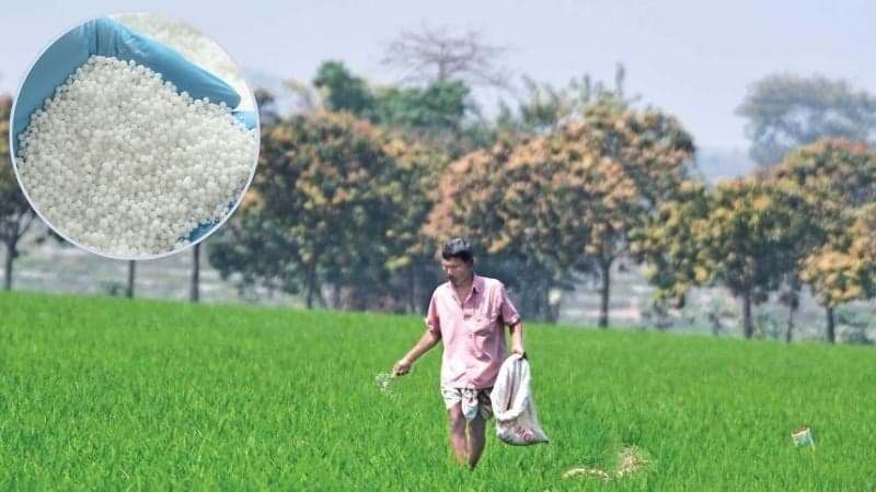 হরমুজ প্রণালি বন্ধ হলে বাংলাদেশে তীব্র সার সংকটের ঝুঁকি তৈরি হবে: ডব্লিউএফপি