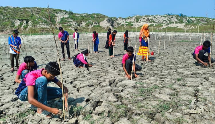জলবায়ু পরিবর্তন মোকাবিলায় বেতনা নদীর তীরে ২ হাজার গাছের চারা রোপণ